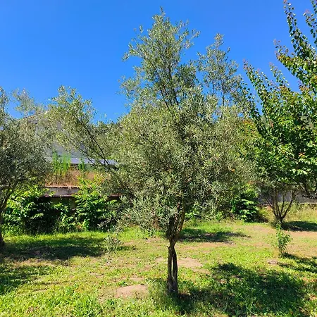 Holiday home Luxe Studio Met Zwembad, Bergzicht & Dakterras Esperanca (Braga)